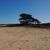 Wekeromse zand